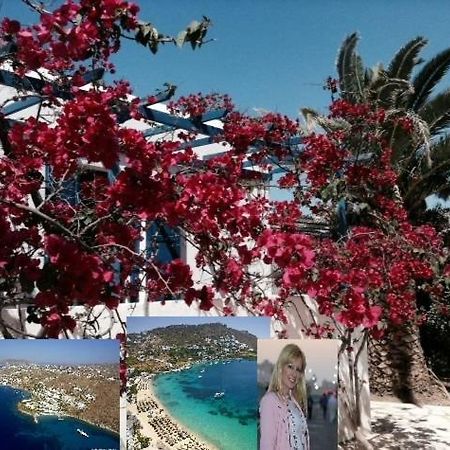 Magical Ornos! Beach House!Beach 1' Walk-Mykonos Town 2Km المظهر الخارجي الصورة