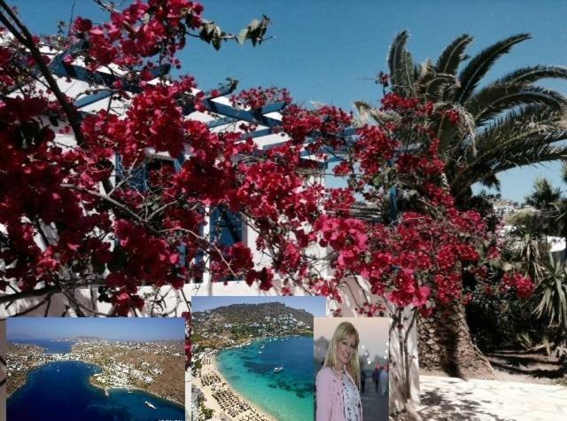 Magical Ornos! Beach House!Beach 1' Walk-Mykonos Town 2Km المظهر الخارجي الصورة
